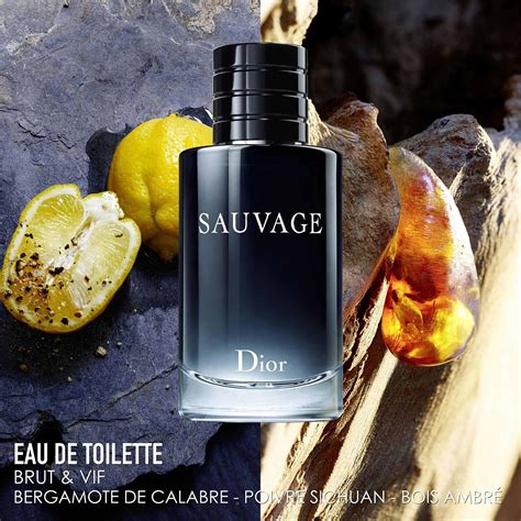 notes of dior sauvage parfum